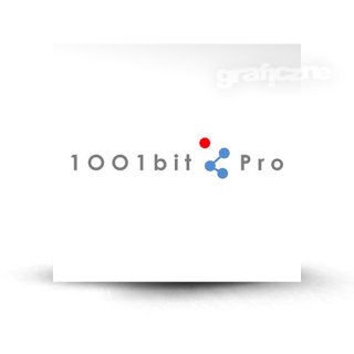 1001bit Pro 2