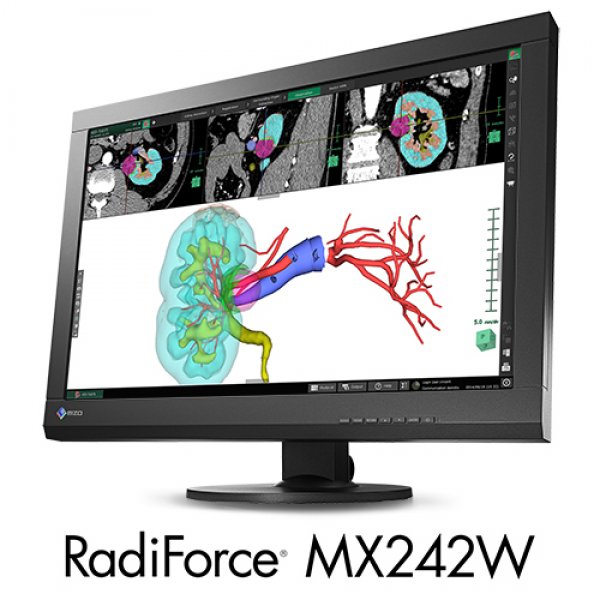 EIZO RadiForce MX242W